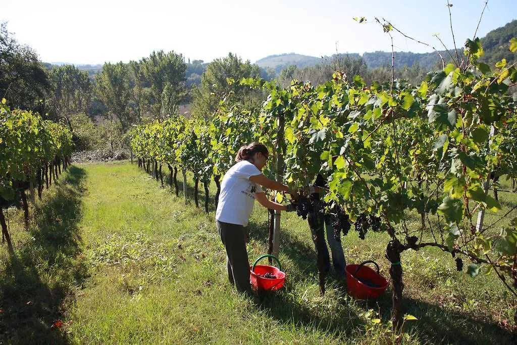 Agriturismo Le Cantine Poggibonsi 0*,